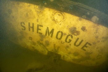 Shemogue-9.jpg