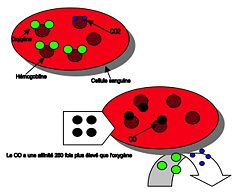 CMPQ Cellule echanges gazeux CO.jpg