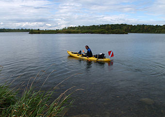 Une petite plongée-kayak au parc?