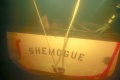 Shemogue2004.jpg